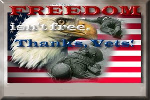 freedom isn't free